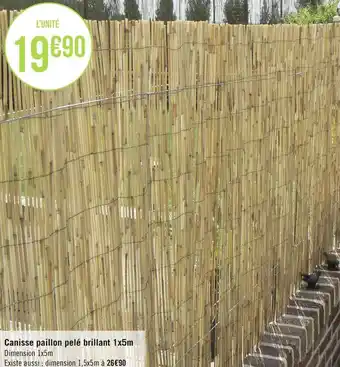 Canisse paillon pelé brillant 1x5m