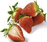 FRAISE
