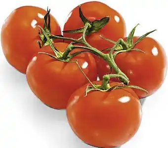 TOMATE RONDE GRAPPE