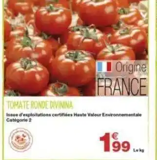 Tomate Ronde Divinina