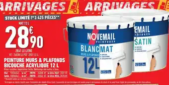 Brico Cash Peinture murs & plafonds bicouche arylique 12 L offre