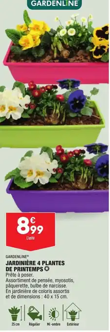 ALDI Jardinière 4 plantes de printemps offre