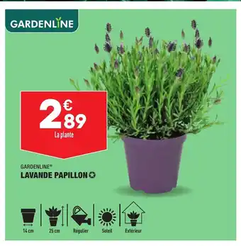 ALDI Lavande Papillon offre