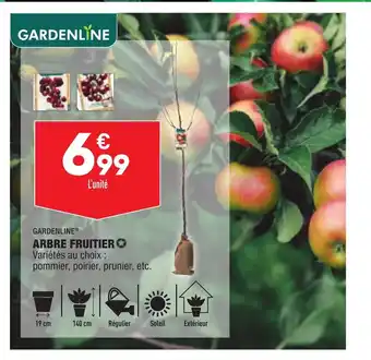 ALDI Arbre Fruitier offre