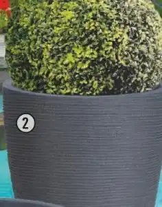 Centrakor Le pot rond offre