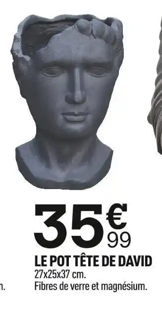 Centrakor Le pot tête de david offre