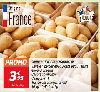 Netto Pomme de terre de consommation offre
