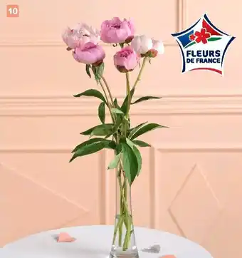 E.Leclerc Brassée de 5 Pivoines Fleurs de France offre