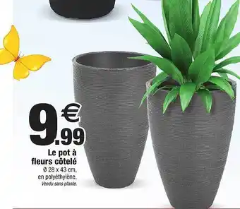Bazarland Le Pot à Fleurs Côtelé offre