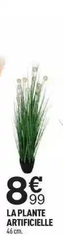 Centrakor La Plante Artificielle offre