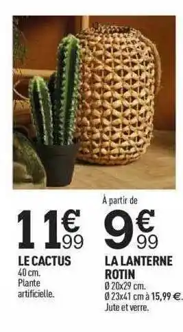 Centrakor Le Cactus, La Lanterne Rotin offre