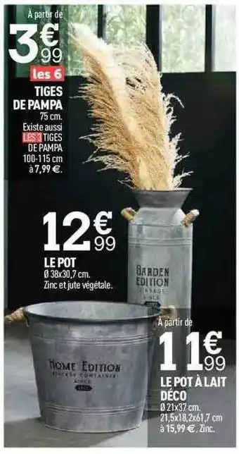 Centrakor Tiges De Pampa, Le Pot à Lait Déco offre
