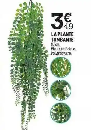 Centrakor La Plante Tombante offre