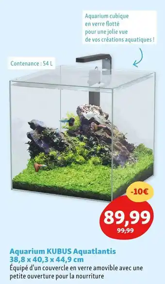 Maxi Zoo Aquarium kubus aquatlantis offre