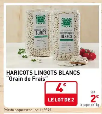 Grain de frais haricots lingots blancs