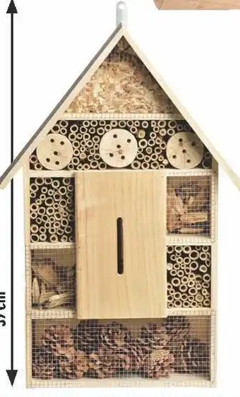 Centrakor La maison à insectes offre