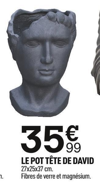Centrakor Le pot tête de david offre