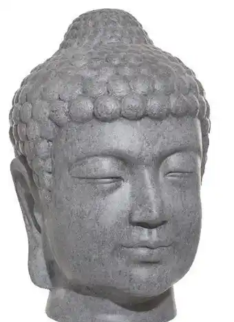 Centrakor La tête de bouddha offre
