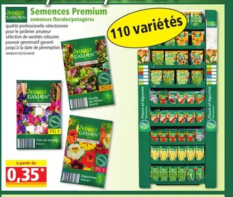 Norma Semences Premium offre