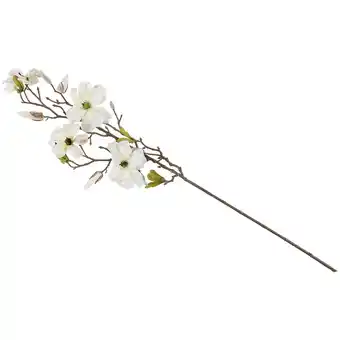 Magnolia/branche fleurie