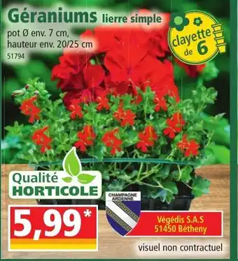 Norma Géraniums offre
