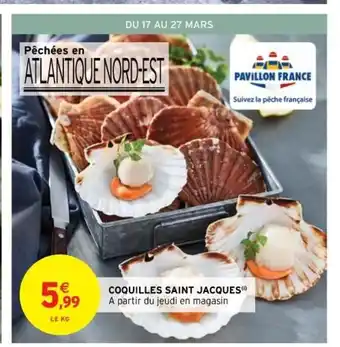 Coquilles Saint Jacques