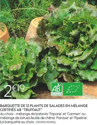 Truffaut Truffaut barquette de 12 plants de salades en mélange certifiés ab offre