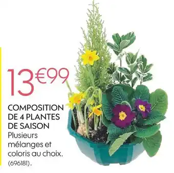 Truffaut Composition de 4 plantes de saison offre