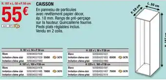 Brico Dépôt Caisson offre