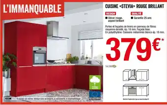 Brico Dépôt Cuisine Stevia Rouge Brillant offre