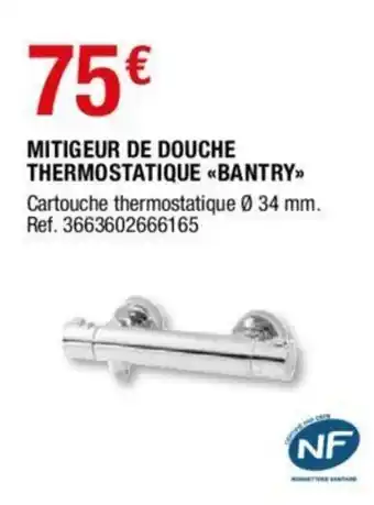 Brico Dépôt Mitigeur de douche thermostatique Bantry offre