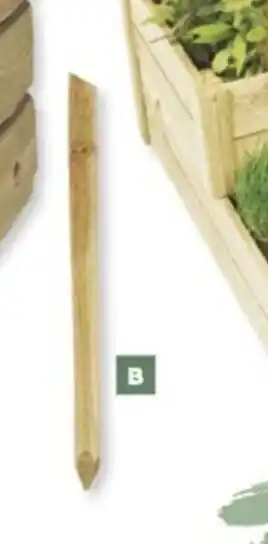 Bricomarché Tutuer bois à planter offre