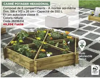 Bricomarché Carré potager hexagonal offre