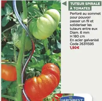 Bricomarché Tuteur spirale à tomatoes offre