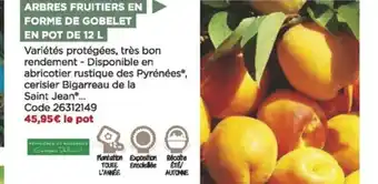 Arbres fruitiers en forme de gobelet en pot de 12 l