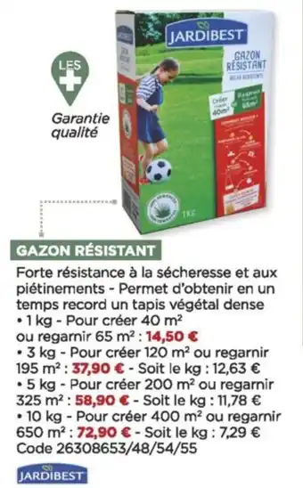 Bricomarché Gazon rèsistant offre