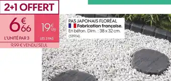 Truffaut Pas japonais floréal offre