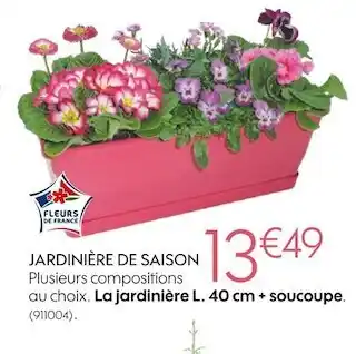 Truffaut Jardinière de saison offre