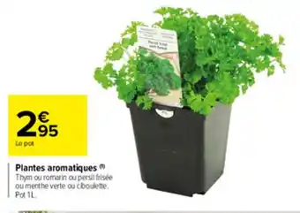 Carrefour Market Plantes Aromatiques offre