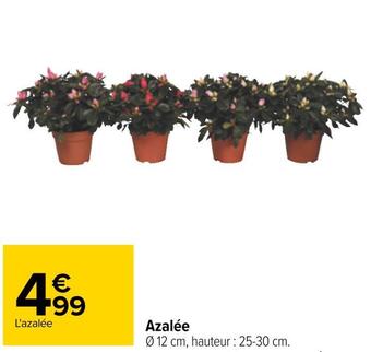 Carrefour Azalée offre