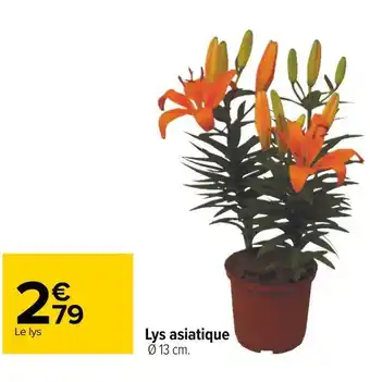 Carrefour Lys asiatique offre