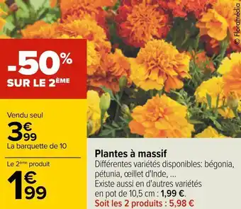 Carrefour Plantes à massif offre
