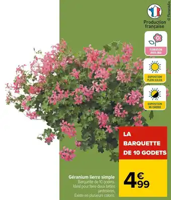 Carrefour Géranium lierre simple offre