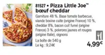 Thiriet Pizza Little Joe offre