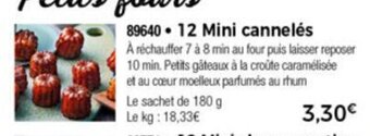 Thiriet 12 Mini Cannelés offre