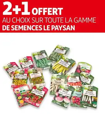 Le paysan bon plan sur toute la gamme de semences de la marque le paysan