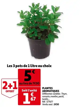 Auchan Plantes aromatiques offre