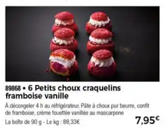 Thiriet 6 petits choux craquelins framboise vanille offre