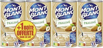 Crème dessert Praliné
