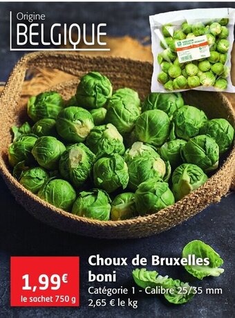 Colruyt Choux de Bruxelles offre